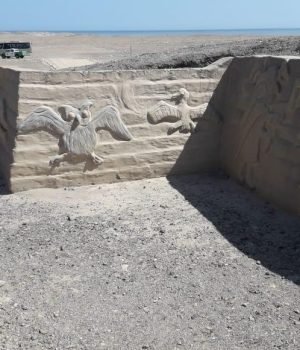 2a8c20ee-d4b5-414d-a89c-24b40c97bd9c