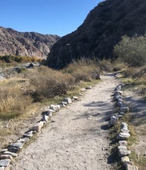 desarrollo -personal